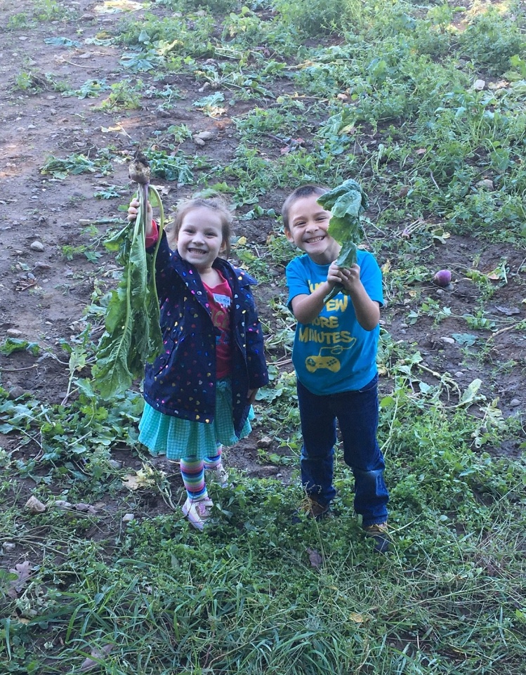 Two children, a girl and a boy, are smiling and holding up large green leaves in a grassy area, with a background of dirt and more greenery.