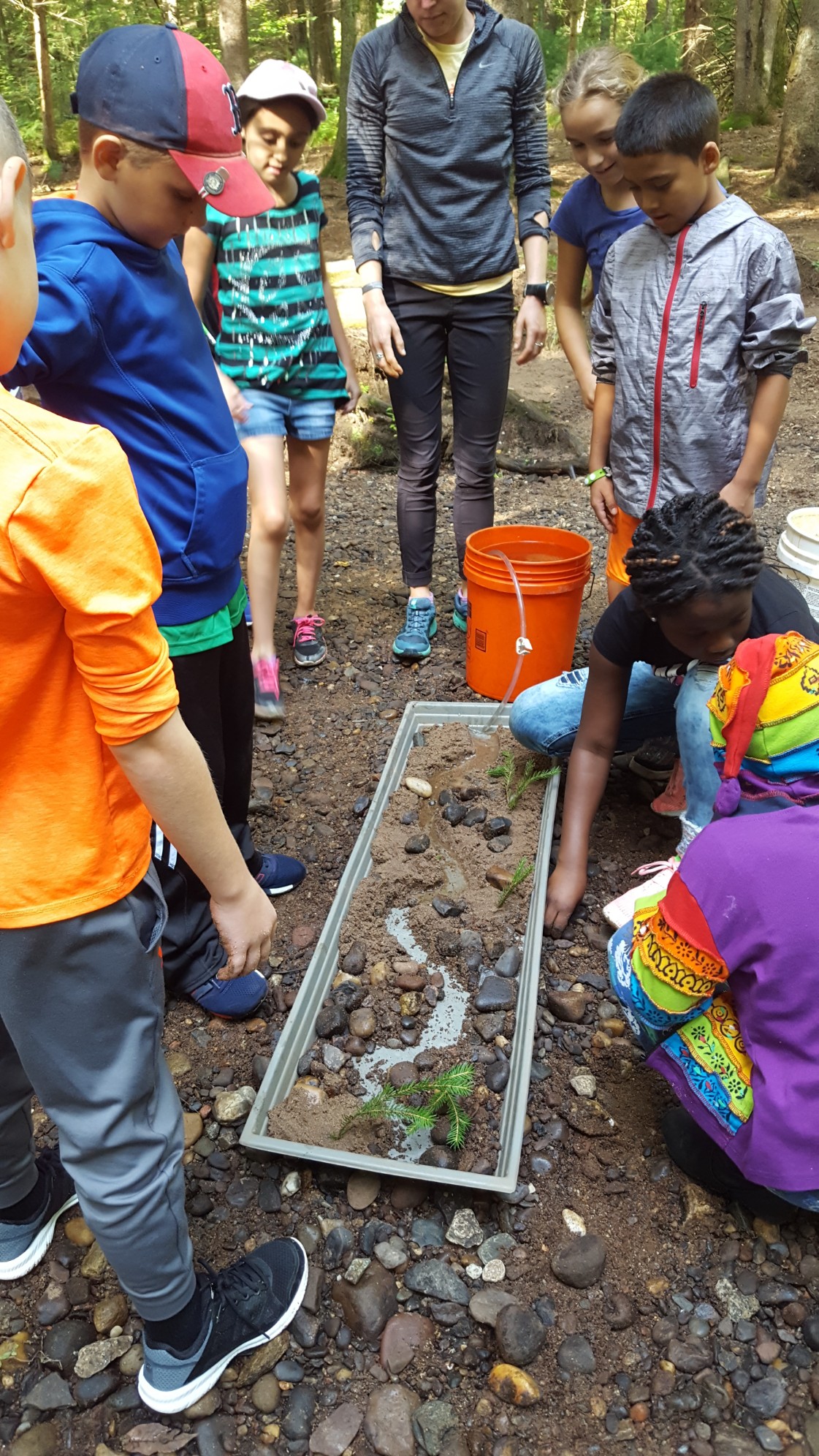 A group of children and an adult are gathered around a long tray filled with rocks and water, engaged in an outdoor educational activity in a wooded area.