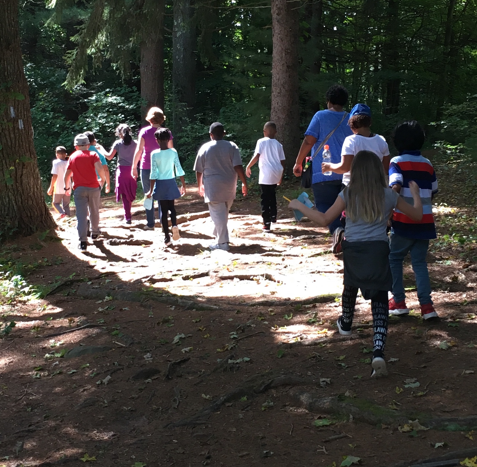 A group of children and adults walking along a forest path, surrounded by trees and dappled sunlight.