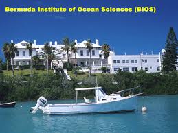 A view of the Bermuda Institute of Ocean Sciences (BIOS) with a white boat in the foreground and palm trees surrounding the building under a clear blue sky.