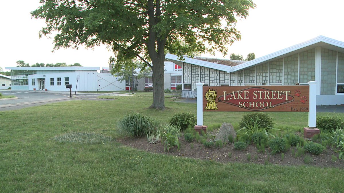 A view of Lake Street School, featuring a sign in front and modern architectural elements in the background, surrounded by greenery.