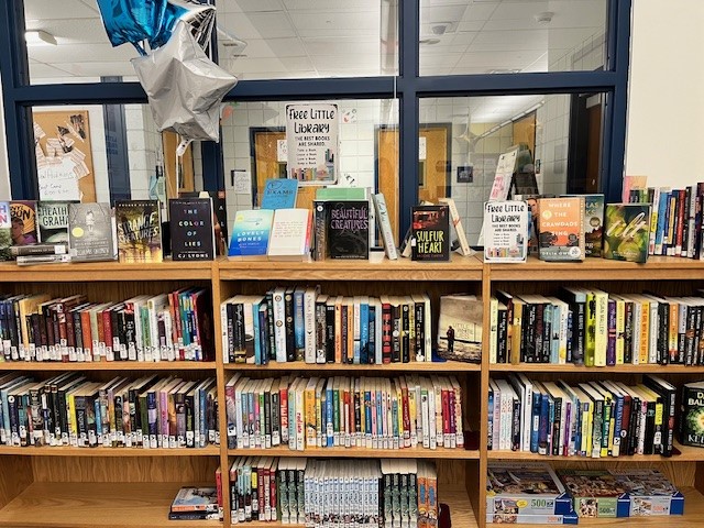 A wooden bookshelf filled with various books, with some displayed on top, set in a library environment featuring large windows in the background.