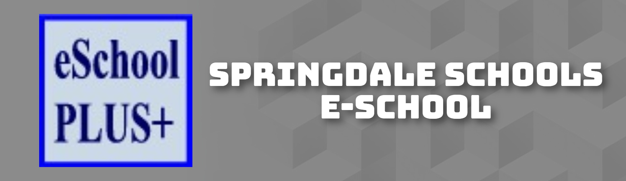 SPRINGDALE SCHOOLS E-SCHOOL