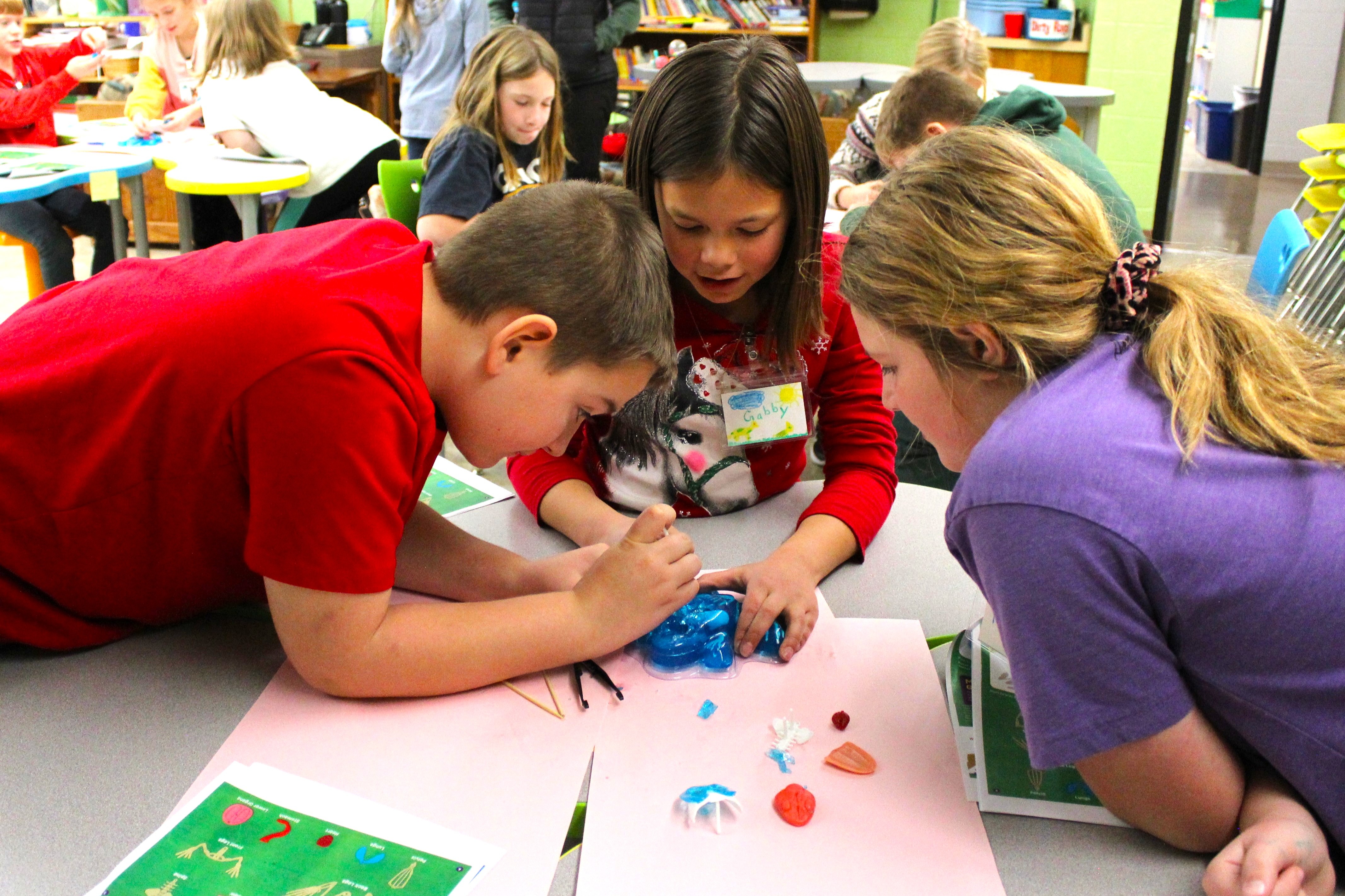 Students dissecting and artificial frog