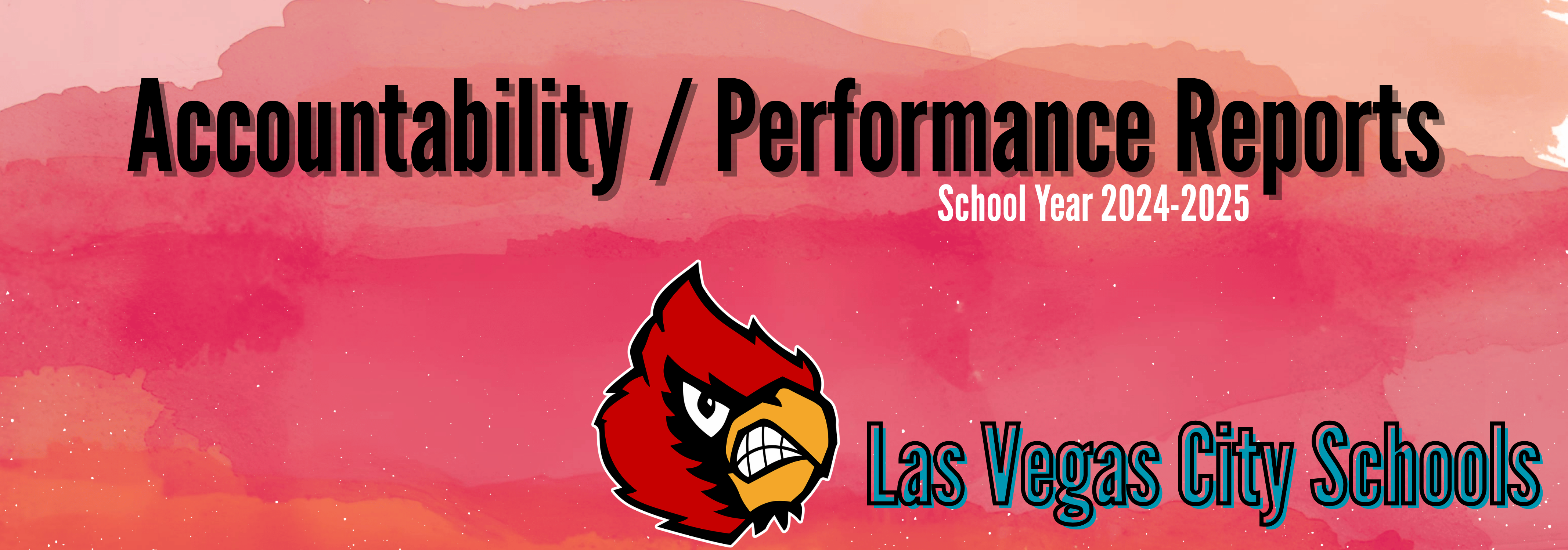 Accountability / Performance Reports