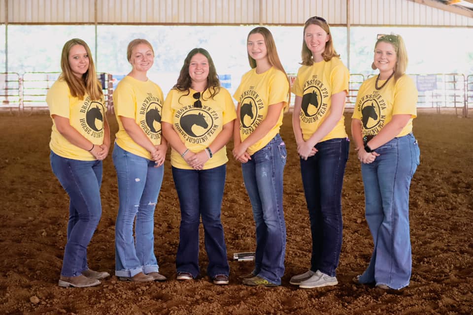 Horse Judging