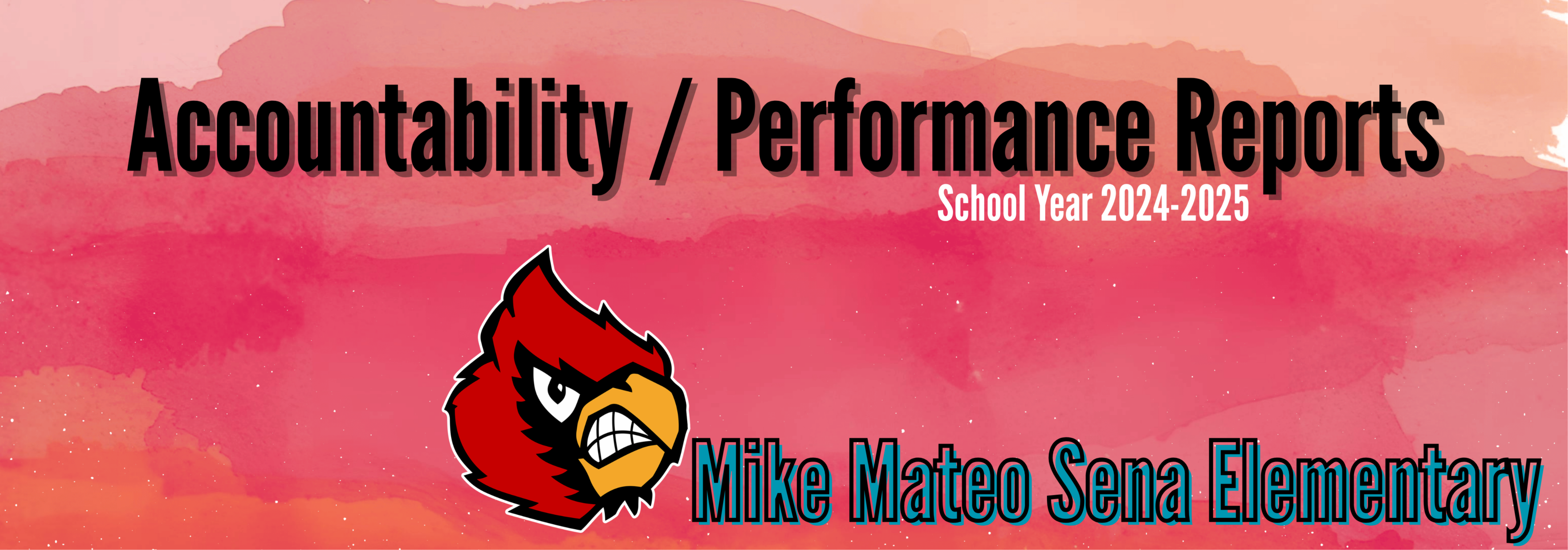 Accountability / Performance Reports