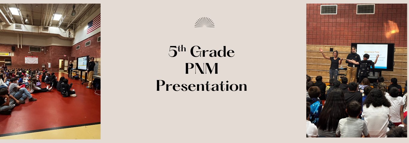 5th grade PNM