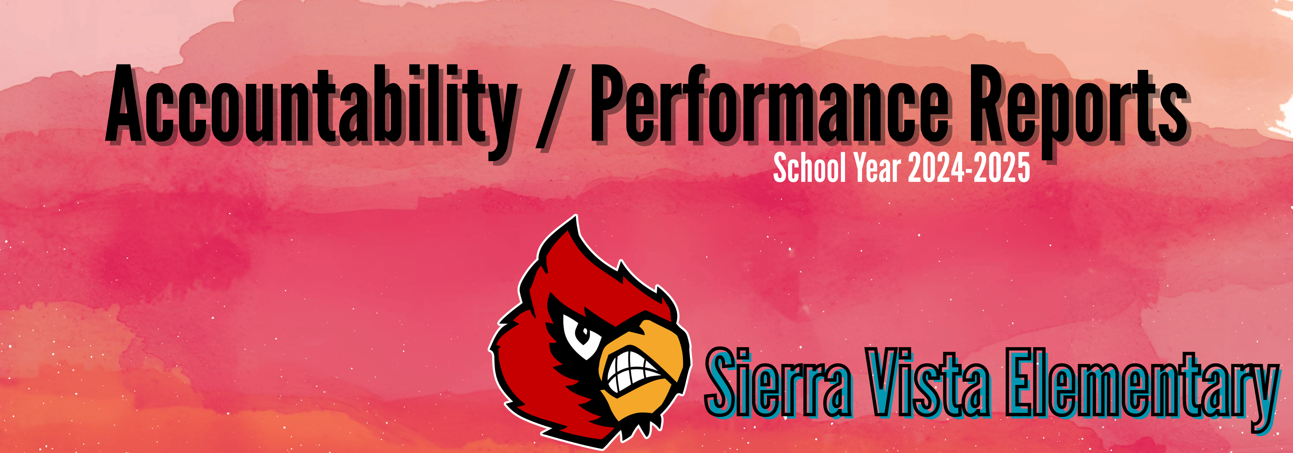 Accountability / Performance Reports