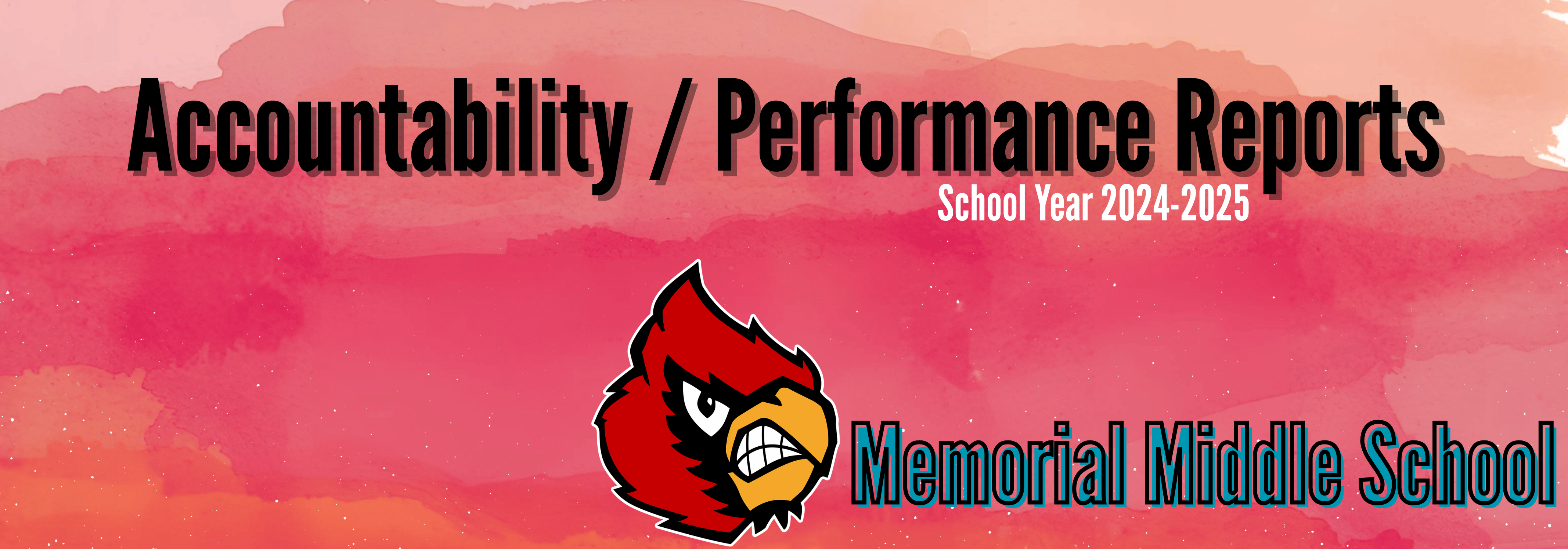 Accountability / Performance Reports