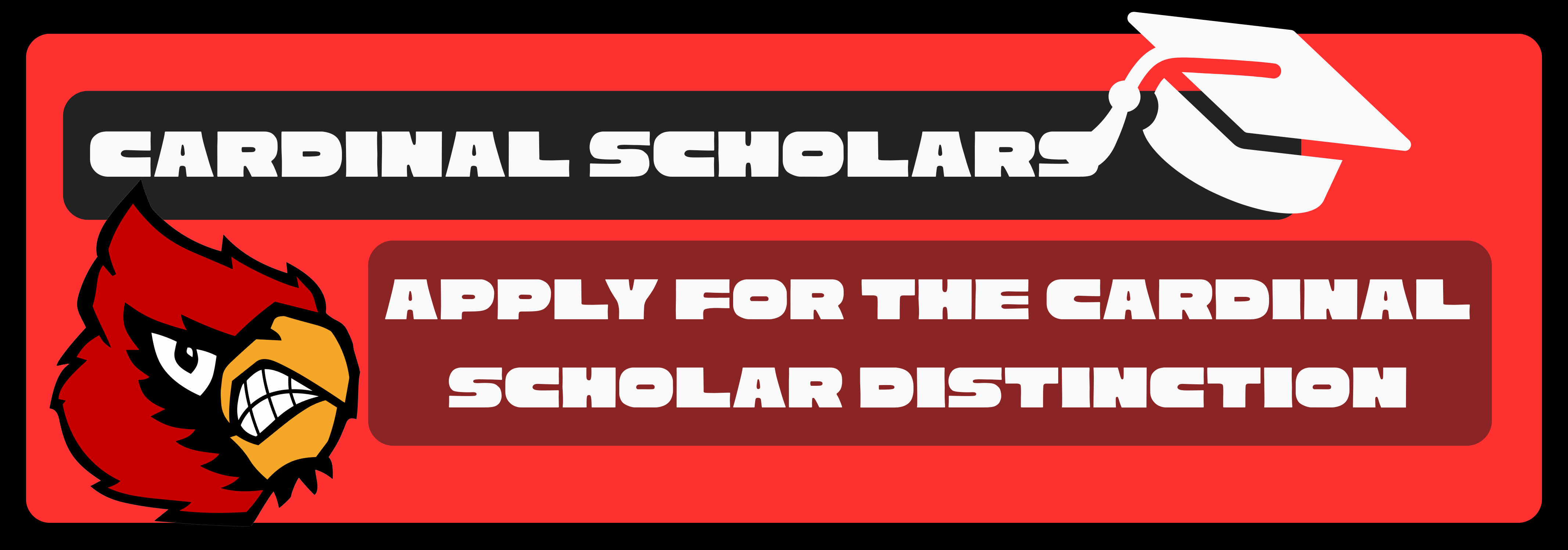 Cardinal Scholars 