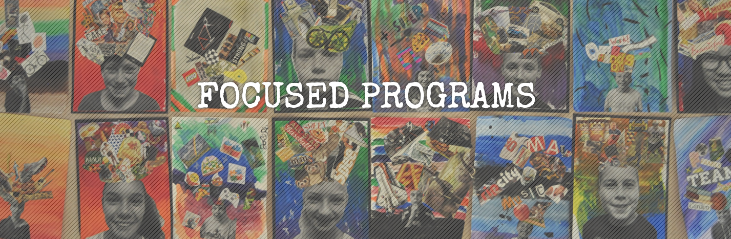 Focused Programs