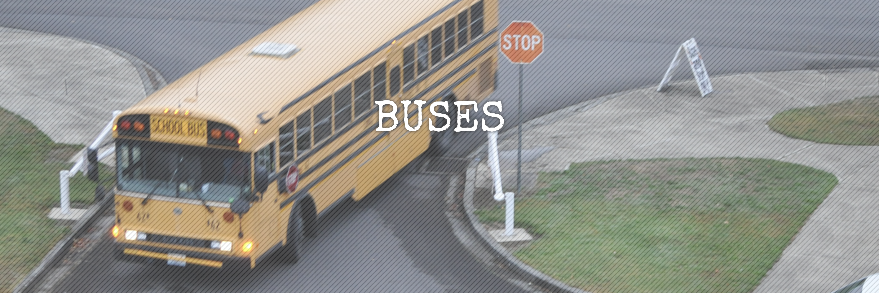 buses banner