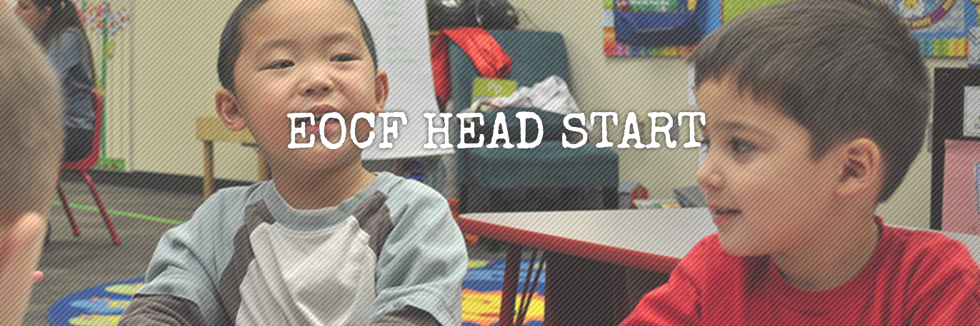 EOCF Head Start banner