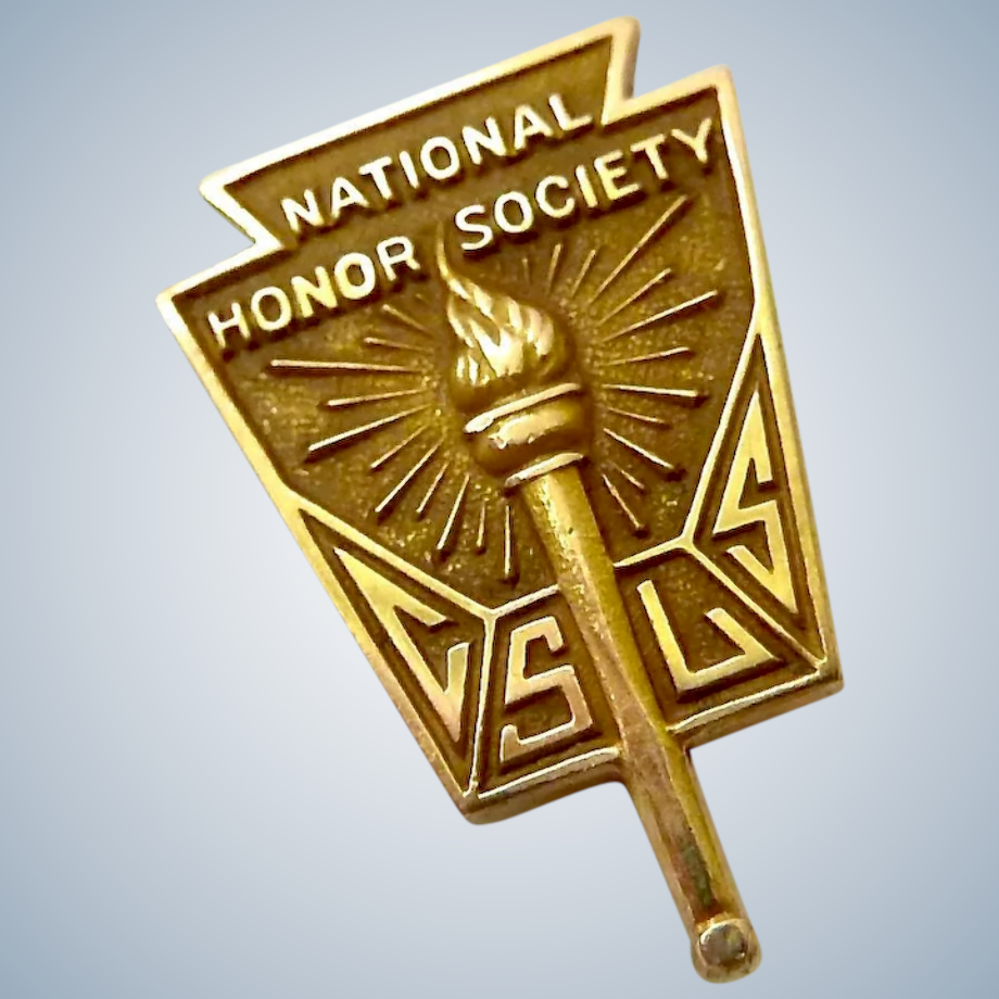 NHS Logo pin photo.