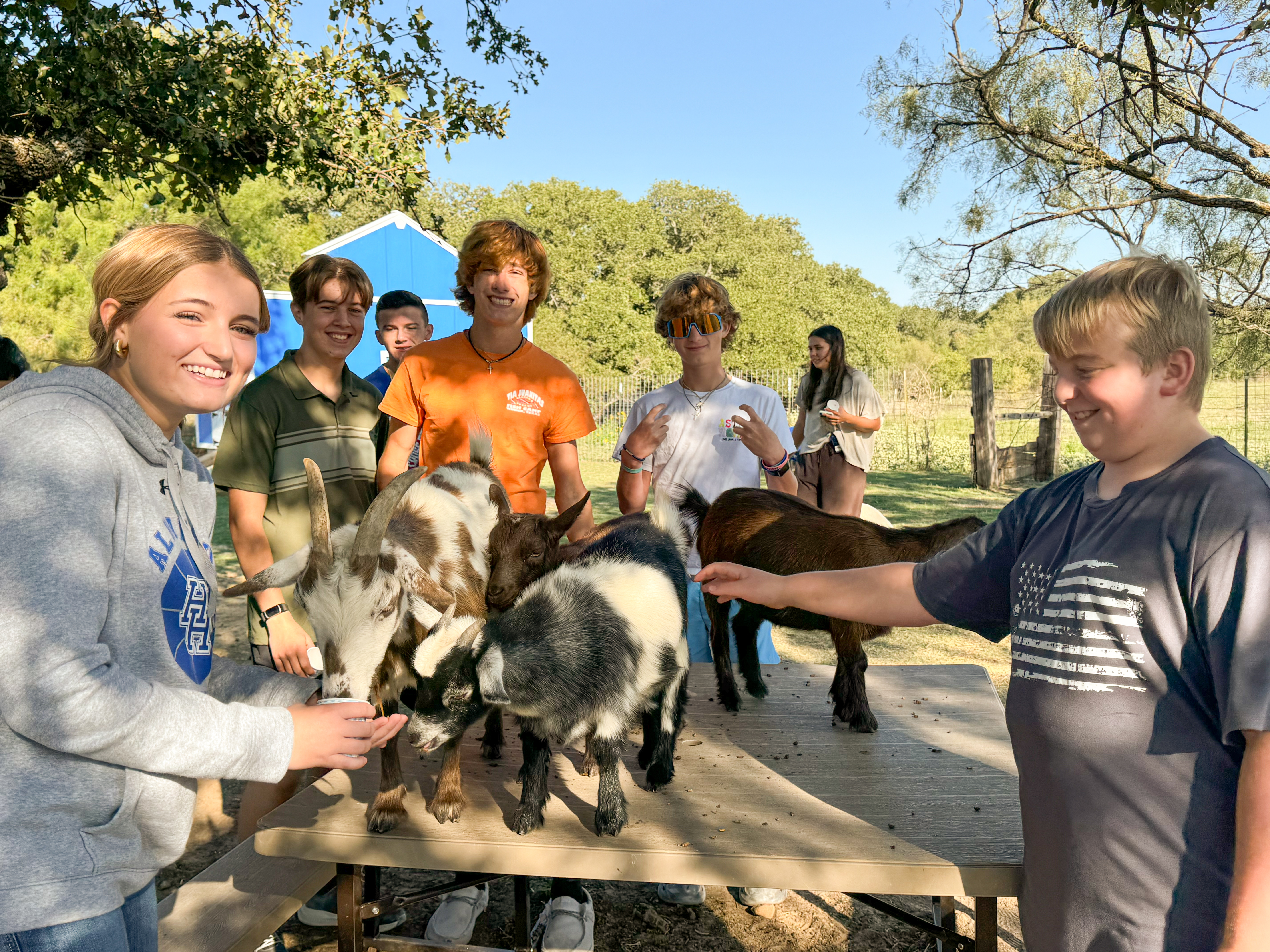 Students feeding a goat