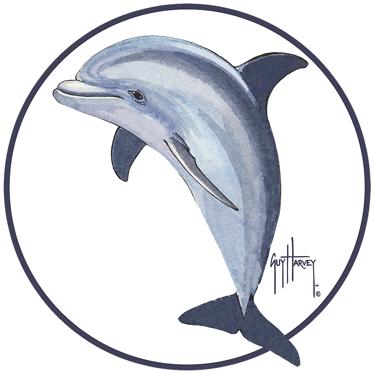 Live Feed Anna Maria Elementary Live Feed Anna Maria Elementary