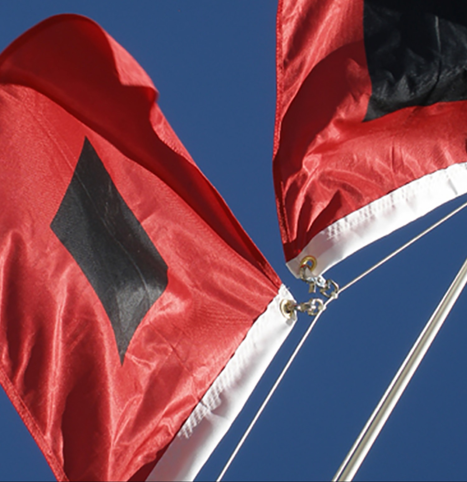 hurricane signal flags