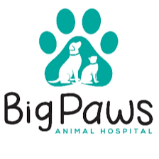 Big Paws