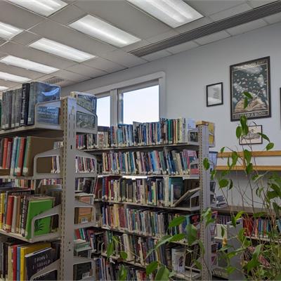 library shelf