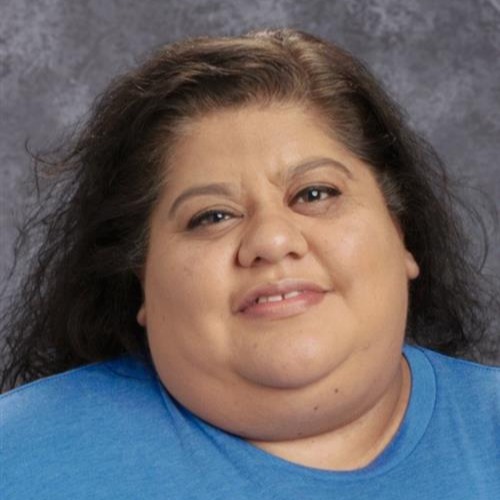 A smiling woman with long hair in a blue shirt against a gray background.