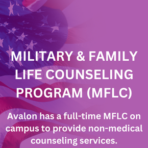 An American Flag With Text Reading 'military & Family Life Counseling Program' On A Purple Background.