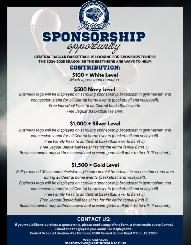 sponsorchip flyer