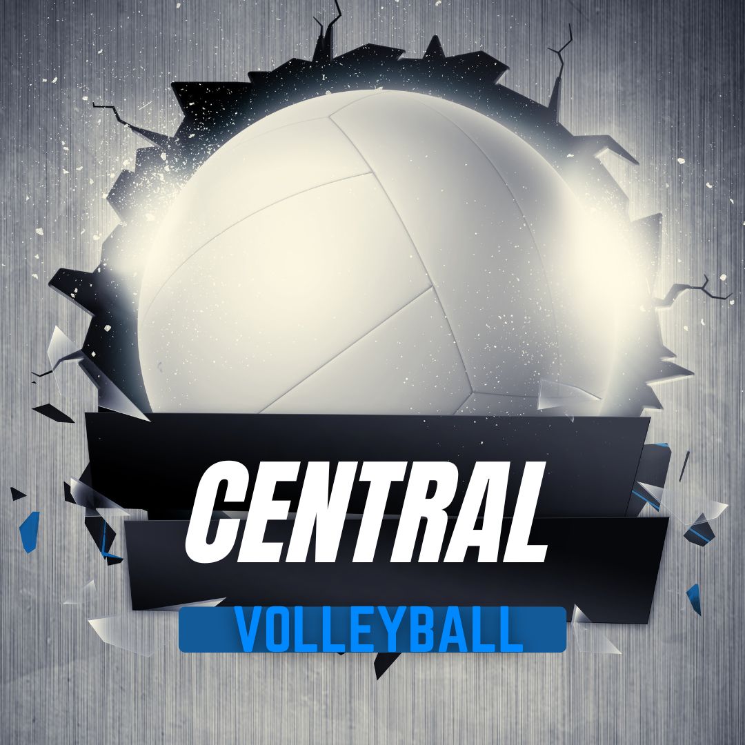 volleyball bal
