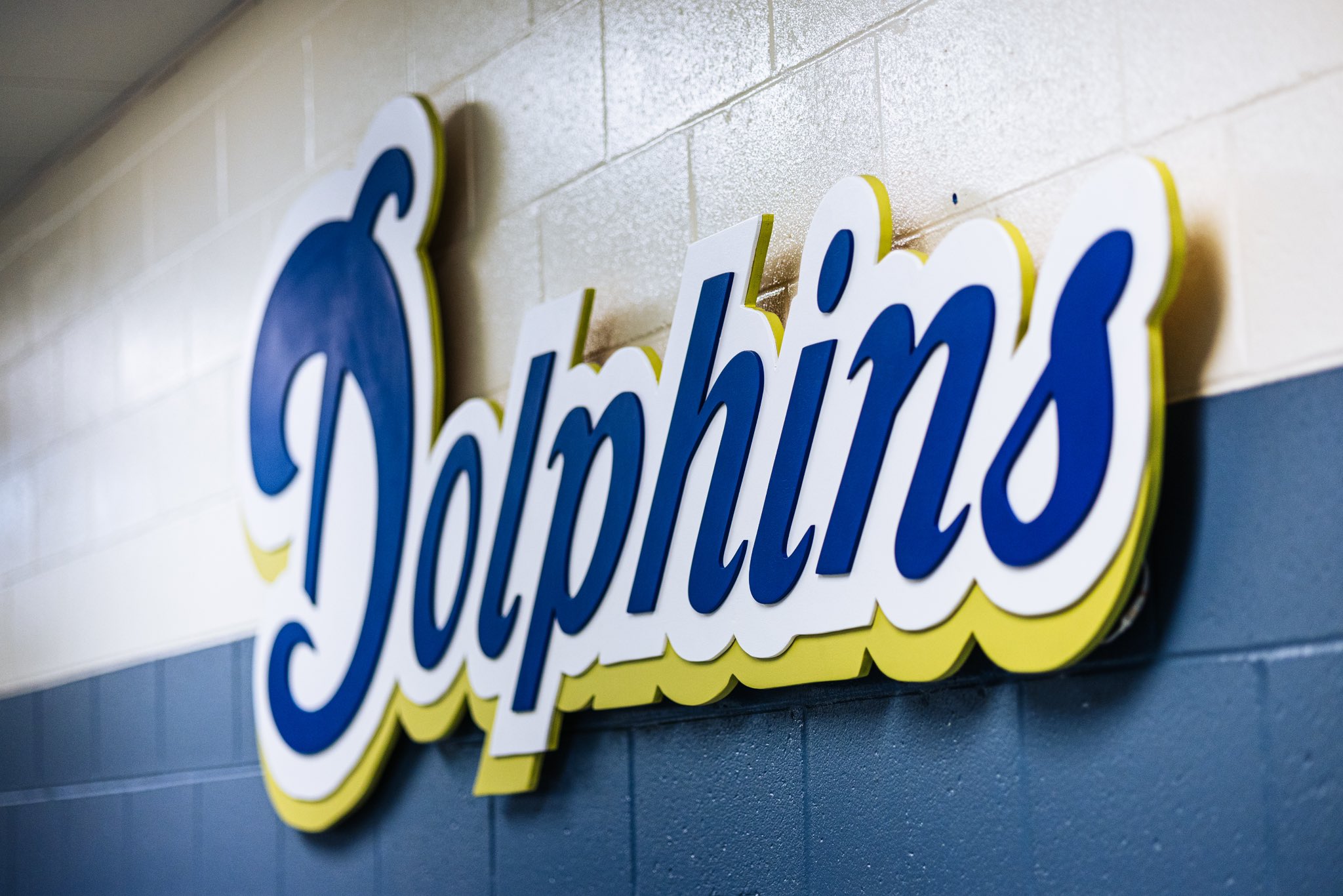 Dolphins