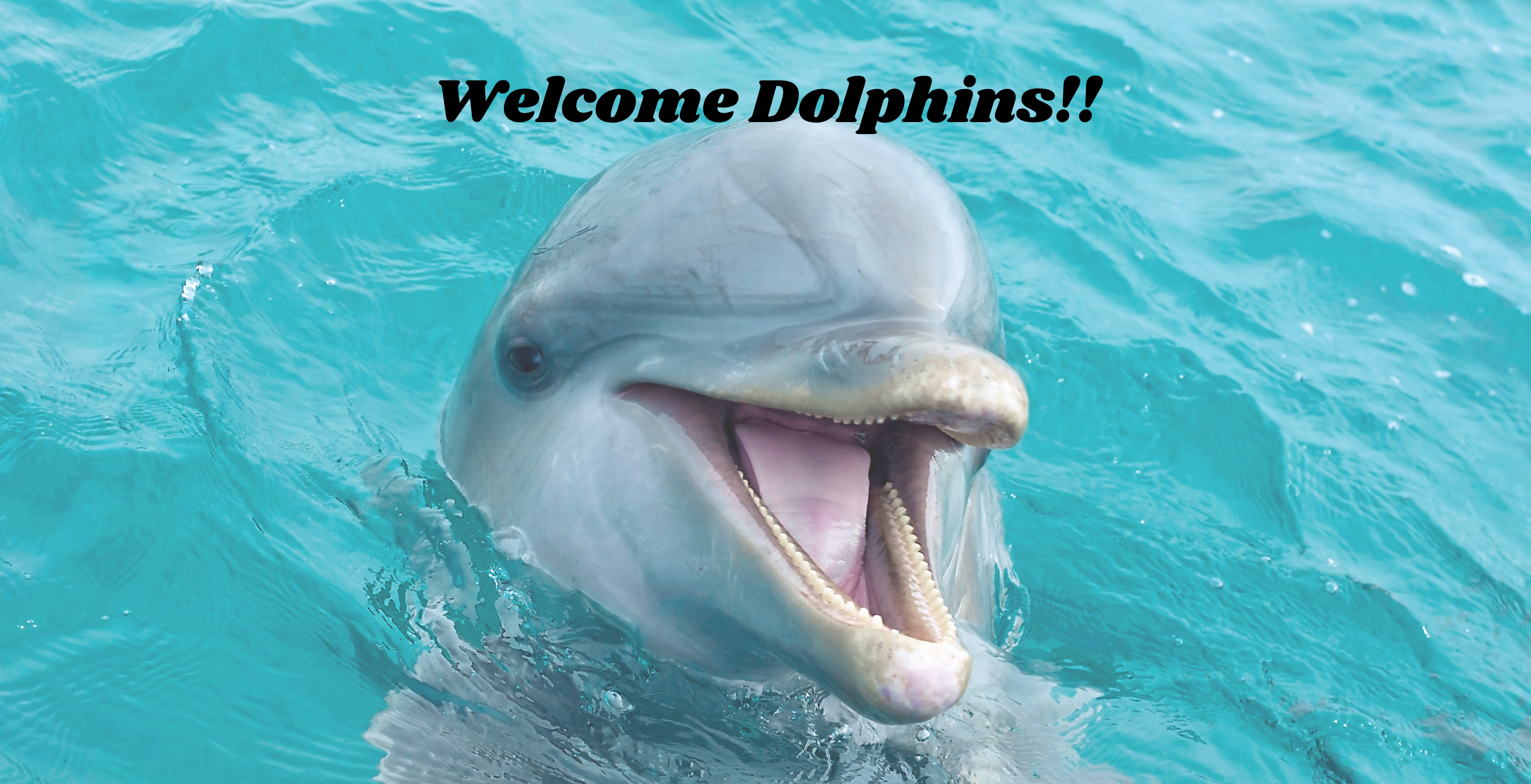 Welcome