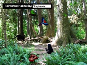 A vibrant rainforest scene featuring tall trees, lush ferns, and various animals and birds, with a title overlay that reads 'Rainforest Habitat by: Stephanie.'
