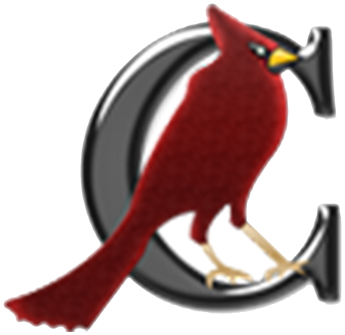 Fall Sports Cavallini Middle School