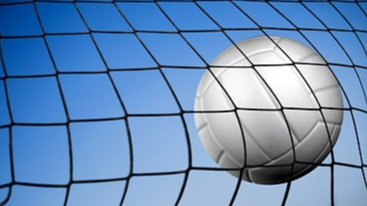 volleyball and net
