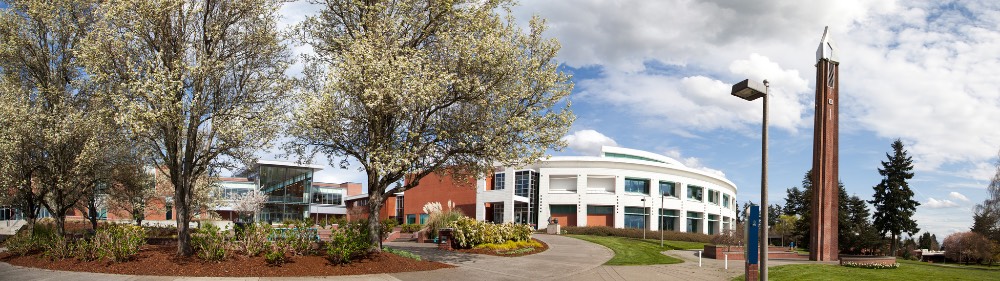 Modern campus, blooming trees