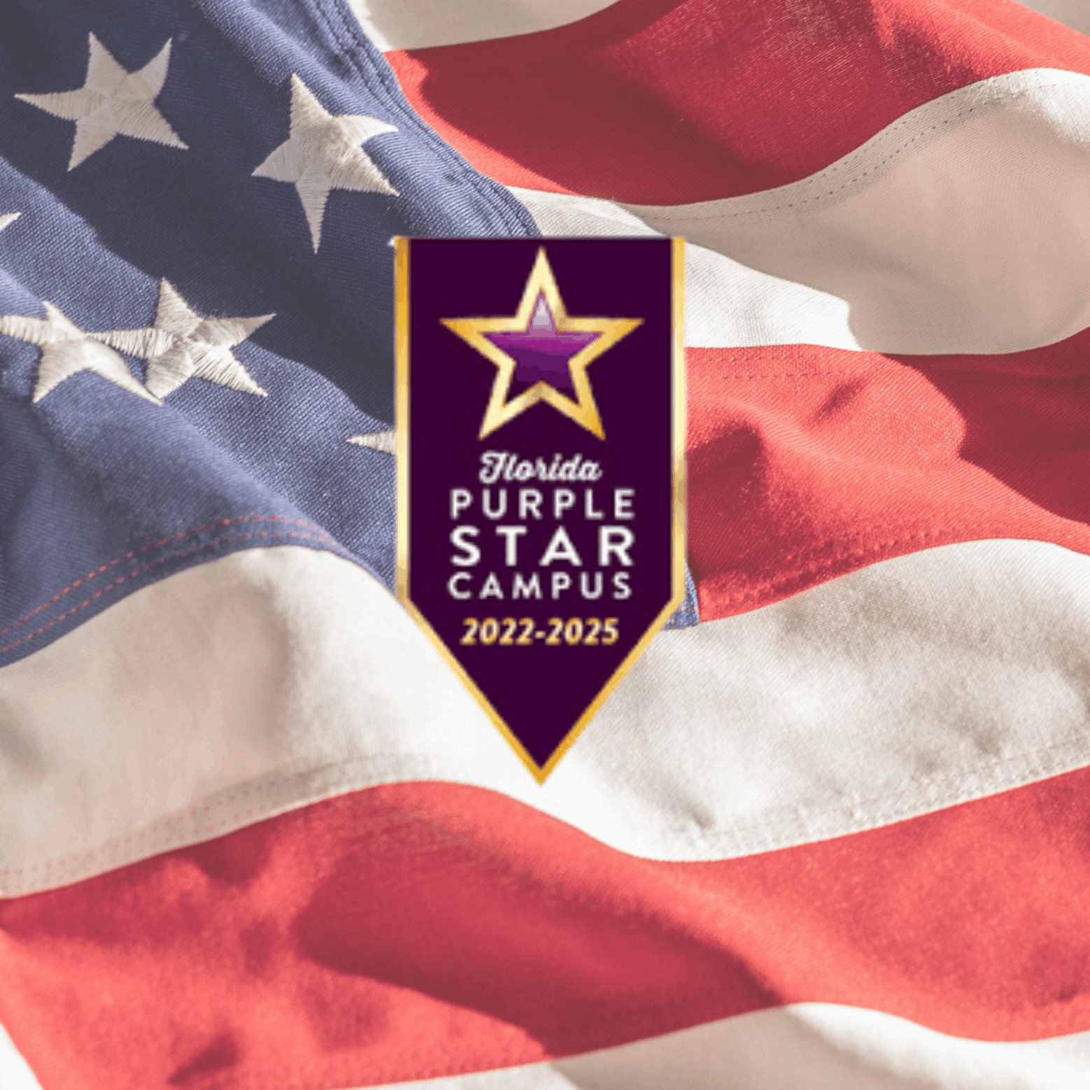florida purple star campus 22-25 banner
