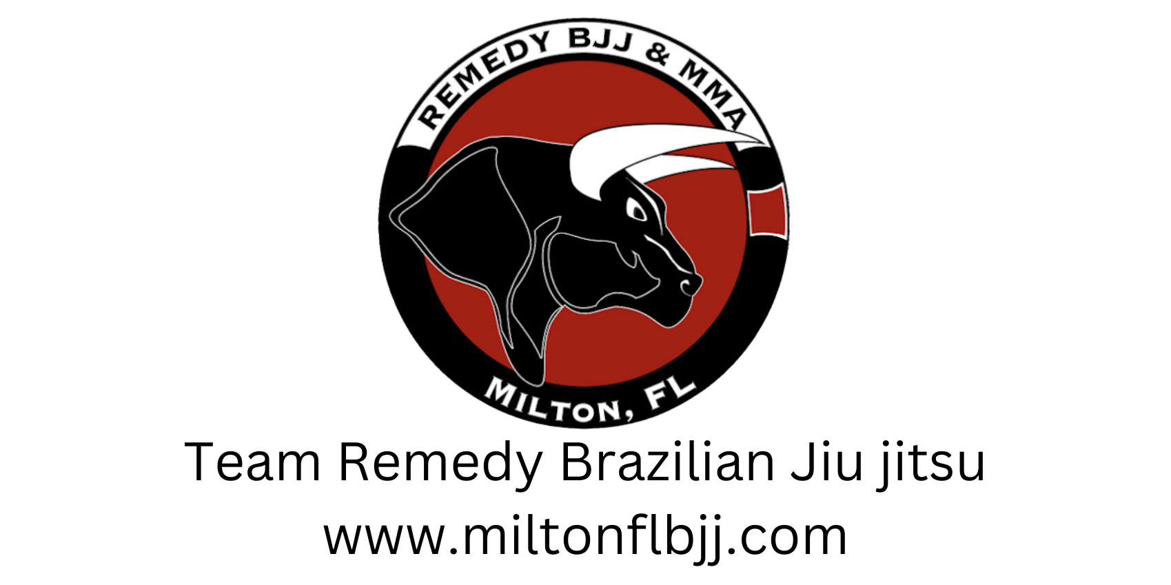 remedy bjj & mma