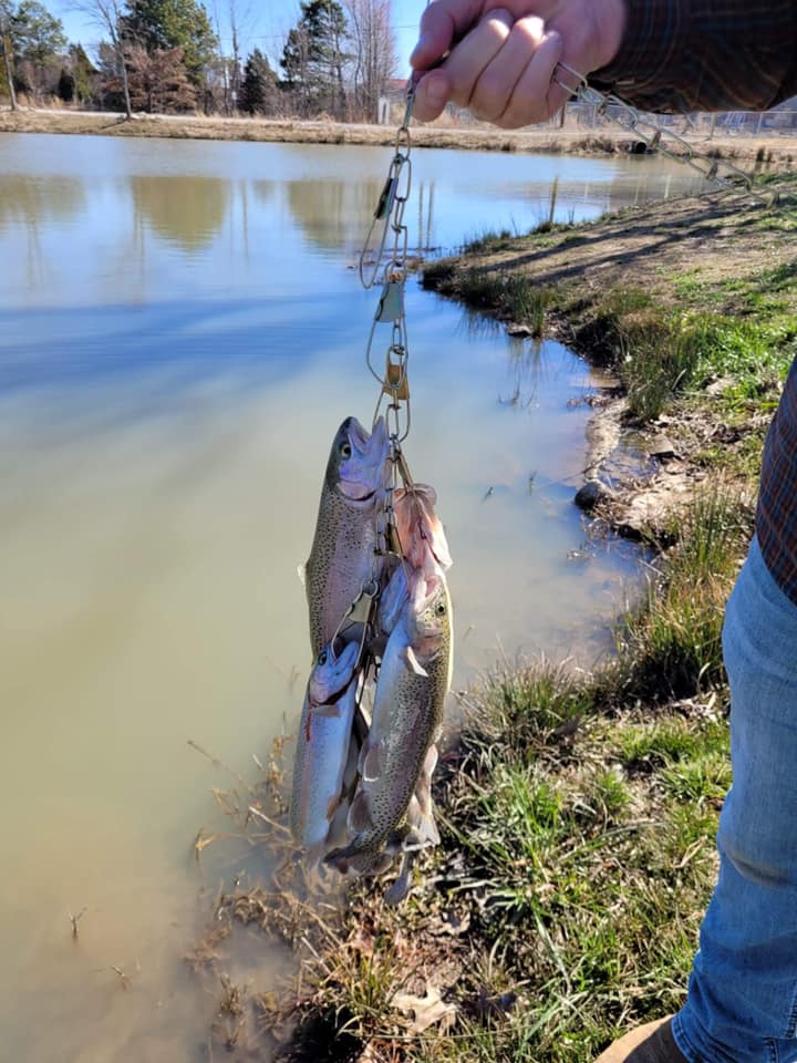 Beebe Community Pond | City Of Beebe