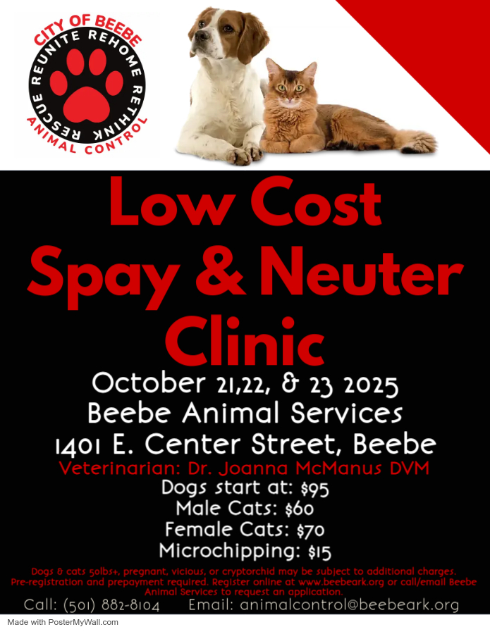 Low Cost Spay & Neuter Clinic