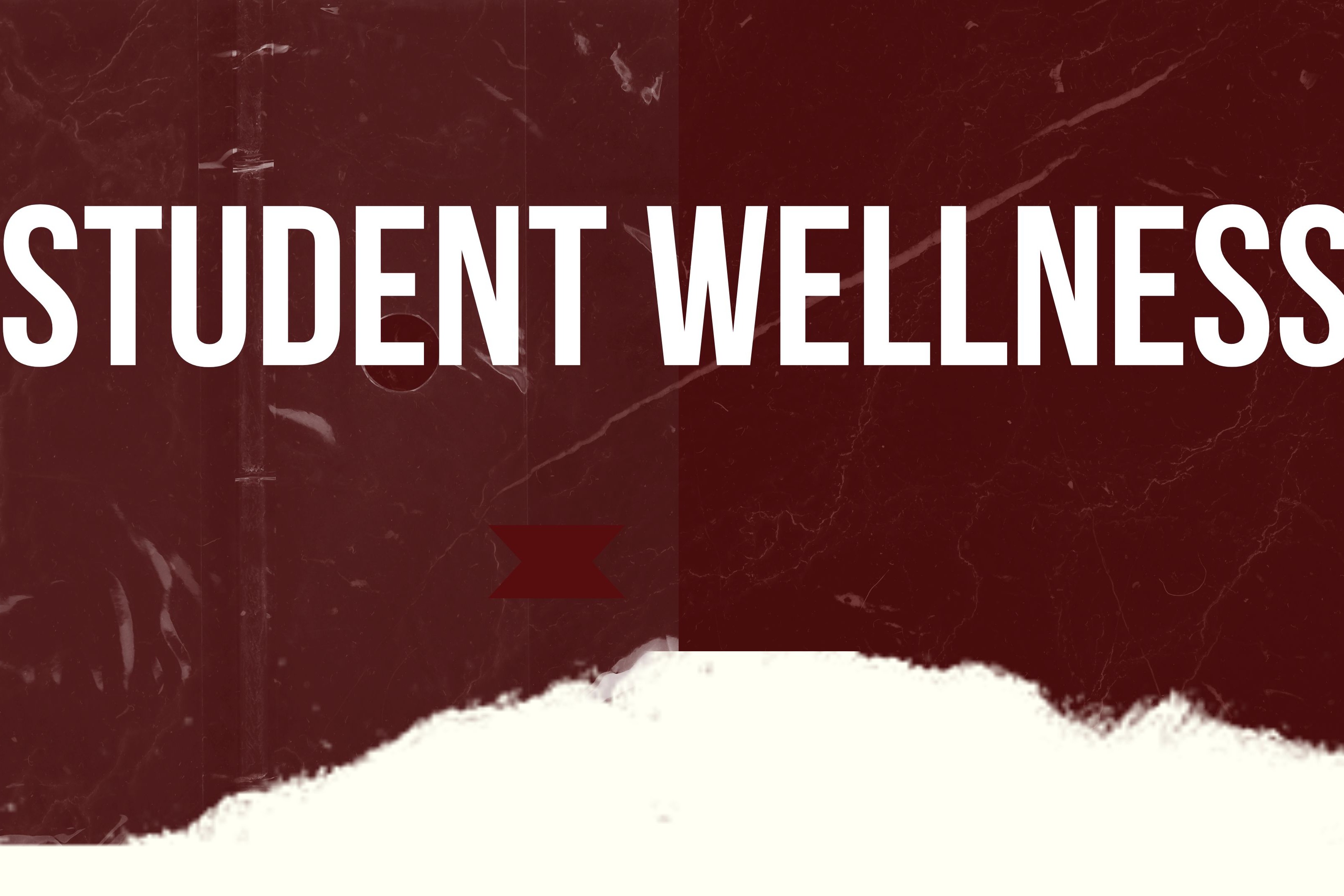 student wellness