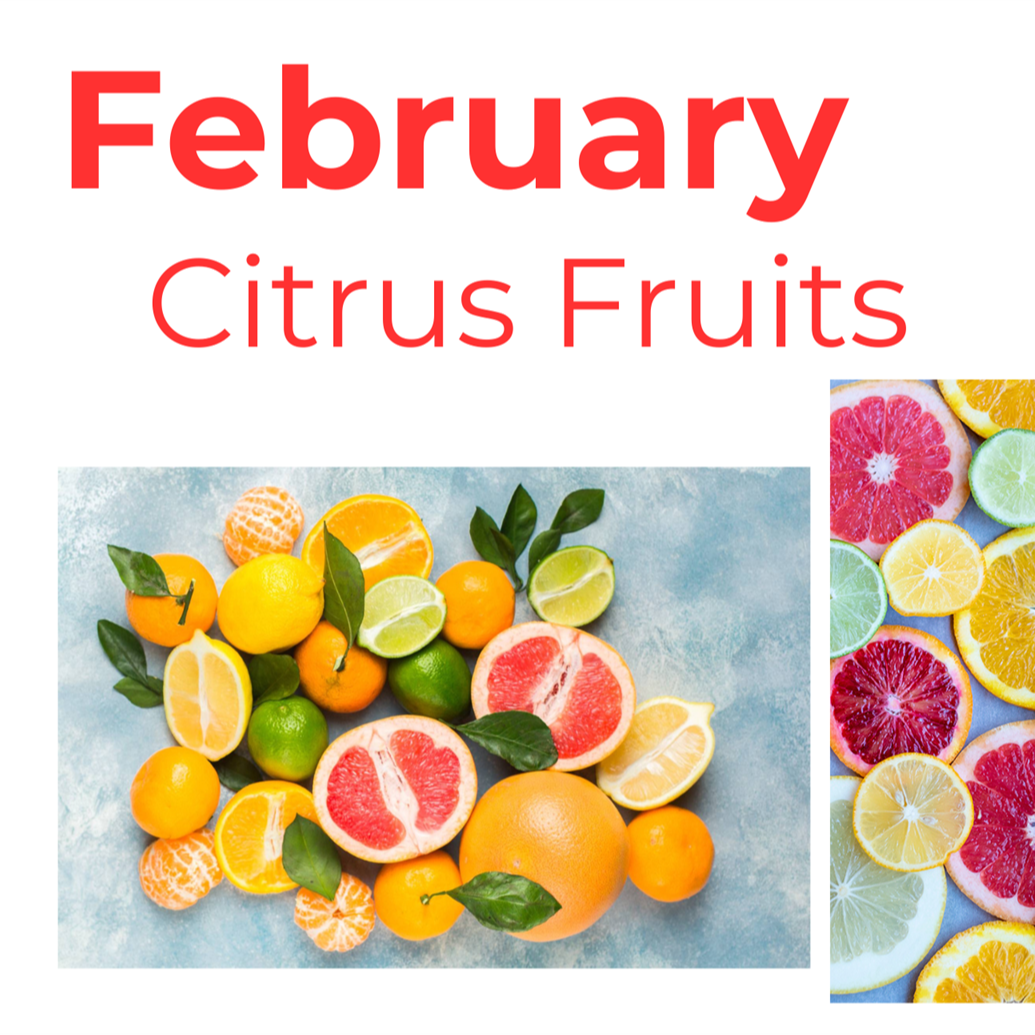 This image features a vibrant assortment of citrus fruits, including oranges, grapefruits, and lemons, along with colorful flowers in a refreshing watermelon backdrop, all presented against the seasonal theme of February.
