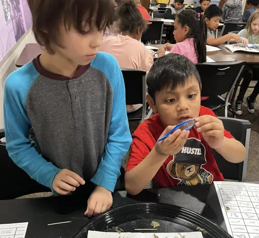 2 kids learning in activity