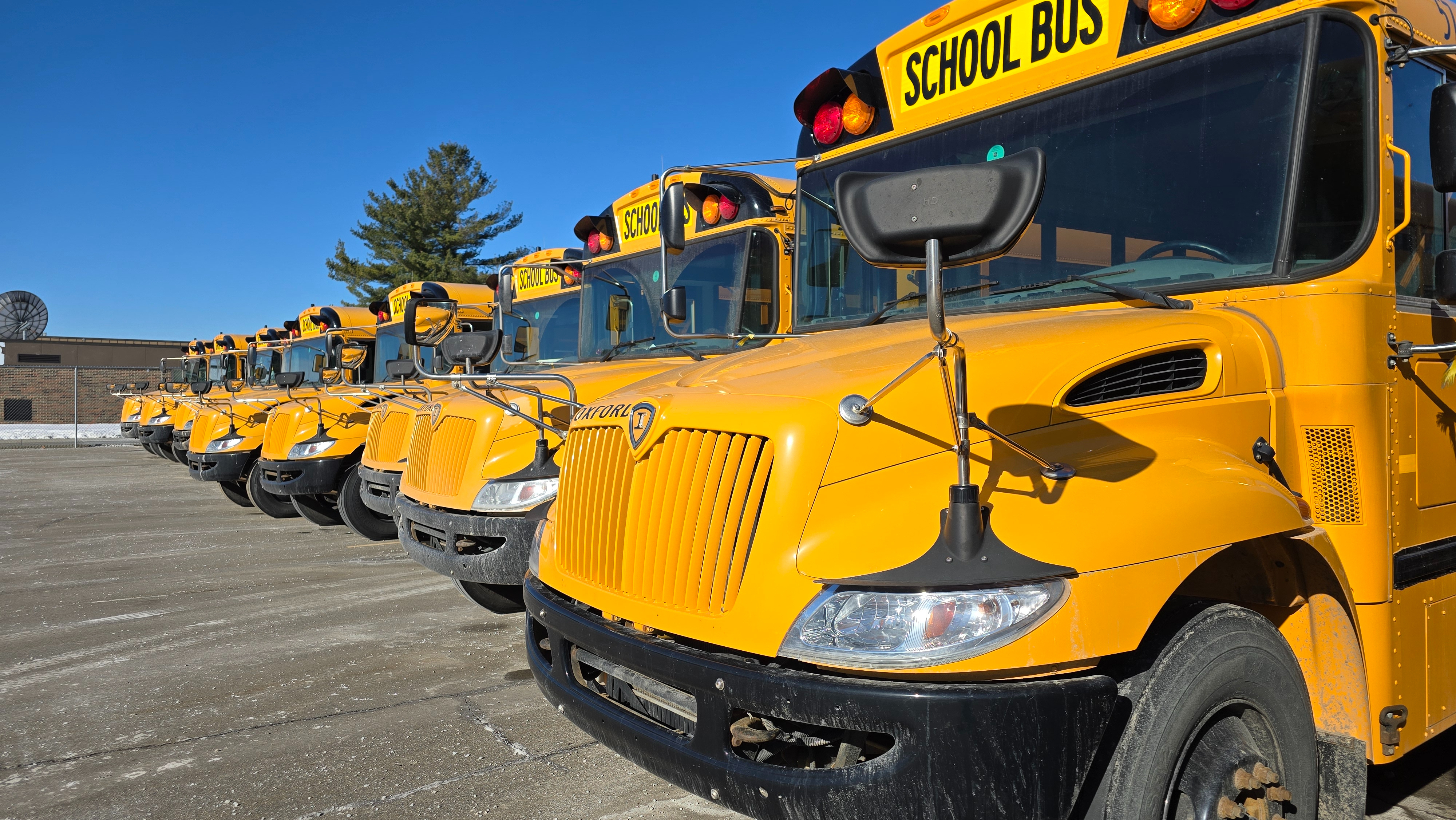 Line of school busses