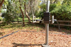 An outdoor fitness station with handles and weights, surrounded by trees and a natural landscape covered in fallen leaves.