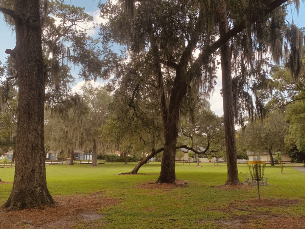 A serene park scene featuring large trees draped with Spanish moss, set against a grassy area with a clear sky in the background.