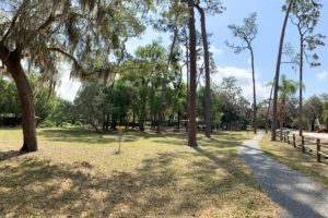 A scenic park pathway lined with trees and grassy areas under a clear blue sky.