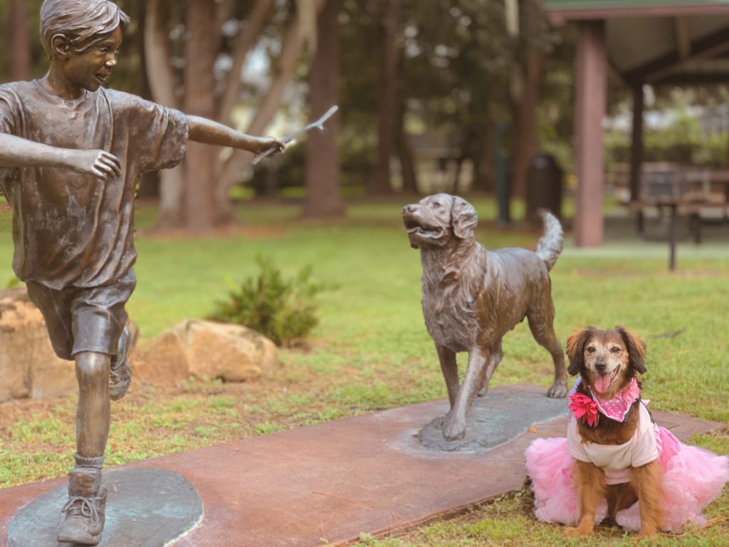 A bronze statue of a boy throwing a stick is depicted alongside a golden retriever statue, while a small dog in a pink tutu sits on the grass nearby.