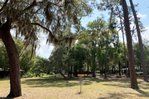 A sunny park scene featuring tall trees, grassy areas, and a disc golf basket in the foreground.