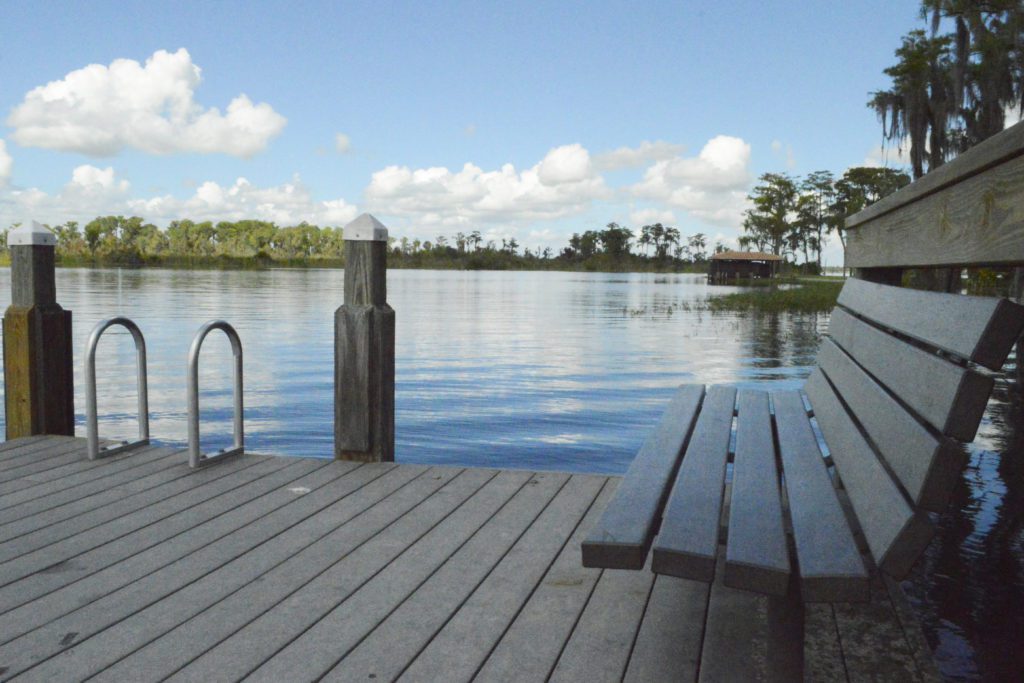 A wooden bench on a dock overlooking a calm lake with trees and clouds in the background.