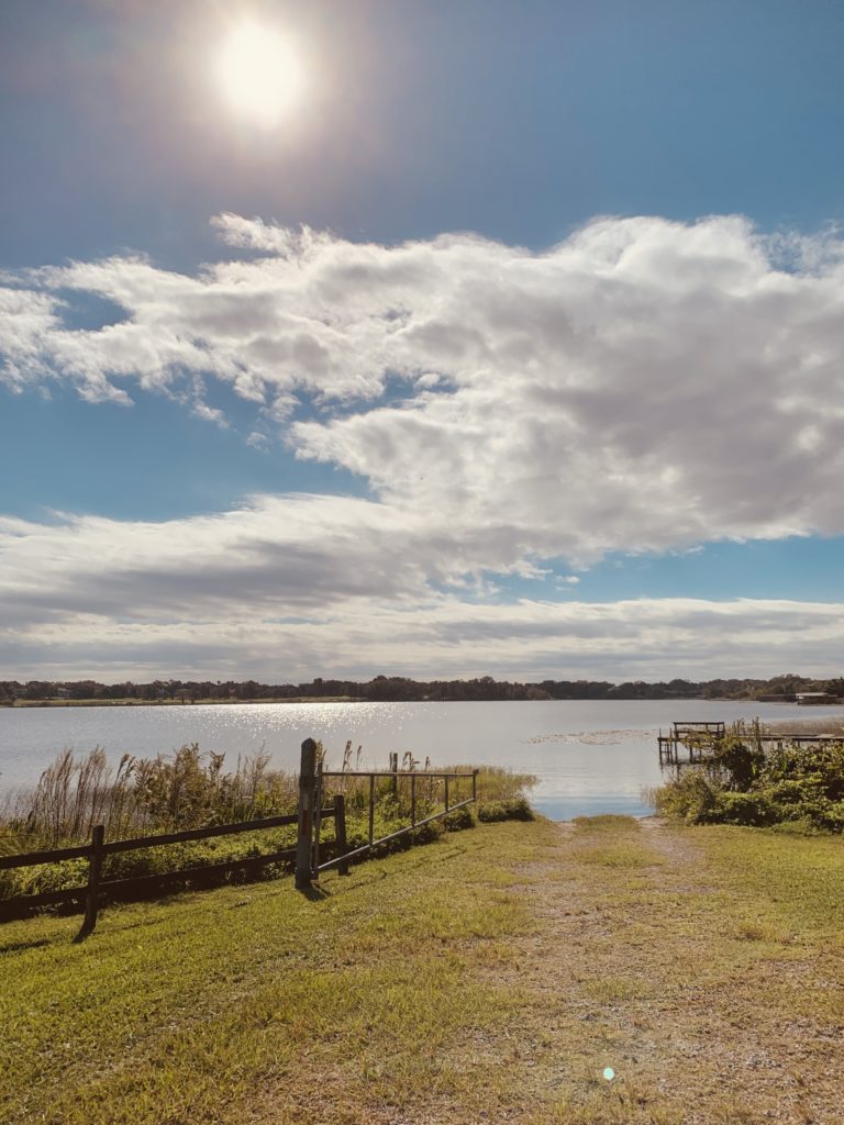 Grass field with lake in the background