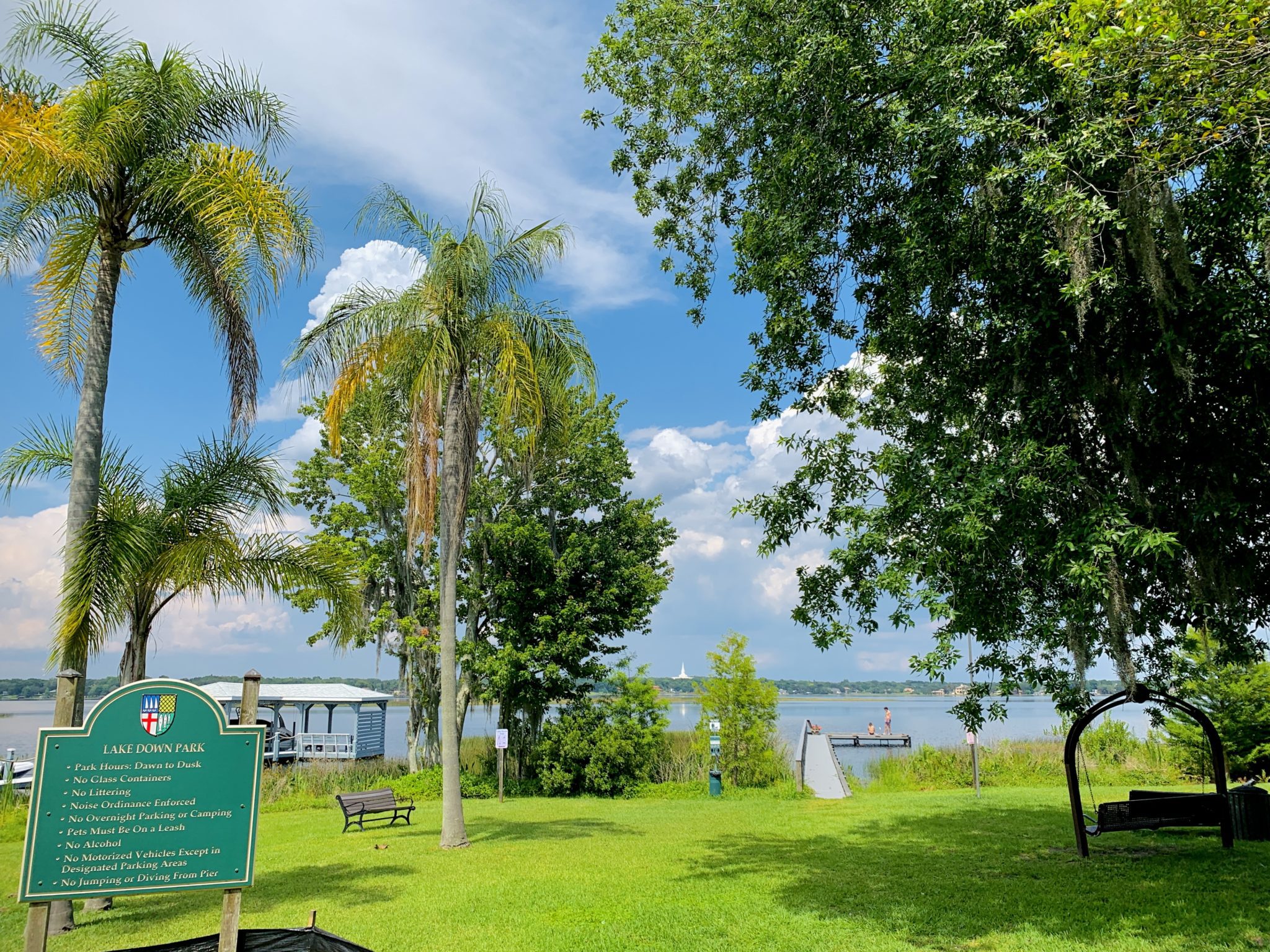 Palm and trees of the park